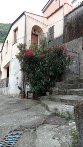 L'Oleandro Maratea